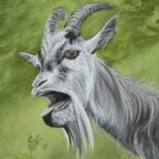 alessagrace (Alessa Grace) OnlyFans content 

 profile picture