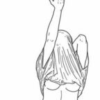 alexamarie.123 (Alexa 🥀🤍) free OnlyFans content 

 profile picture