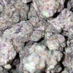 almightdollabill (Zay) OnlyFans Leaked Pictures and Videos 

 profile picture