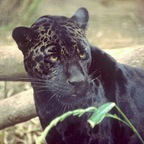 andre (Andre) Only Fans Leaks [FREE] profile picture