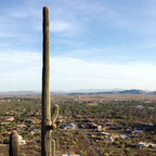 angelodelo (Michael Angelo DeLo ll) free OnlyFans Leaked Videos and Pictures 

 profile picture