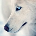 Download ankara OnlyFans videos and photos for free 

 profile picture