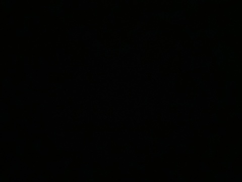 Header of arinaorlov