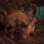 Ash (ash_985) Leaked OnlyFans 

 profile picture