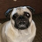 astro OnlyFans Leak 

 profile picture