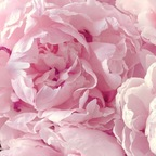 Download baby-me OnlyFans videos and photos for free 

 profile picture