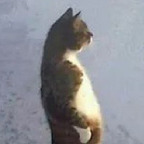 Download badhorrormovies OnlyFans videos and photos for free 

 profile picture