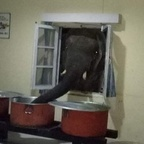 badlicious (oiciruam) OnlyFans Leaked Pictures and Videos 

 profile picture