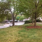 bdlvr (BDLVR) free OnlyFans Leaked Pictures and Videos [UPDATED] profile picture