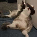 Onlyfans leaks beltanatos 

 profile picture