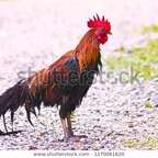 big_jim73 OnlyFans Leaked Photos and Videos 

 profile picture