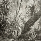 blissfull (Bliss of sky) free OnlyFans Leaked Videos and Pictures 

 profile picture