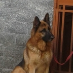 Onlyfans leak bonbon 

 profile picture