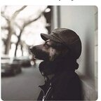 brightest (Brightest) OnlyFans Leaked Pictures and Videos 

 profile picture