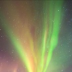 Downsouthbounce (@bubblywonder) Leaks OnlyFans 

 profile picture