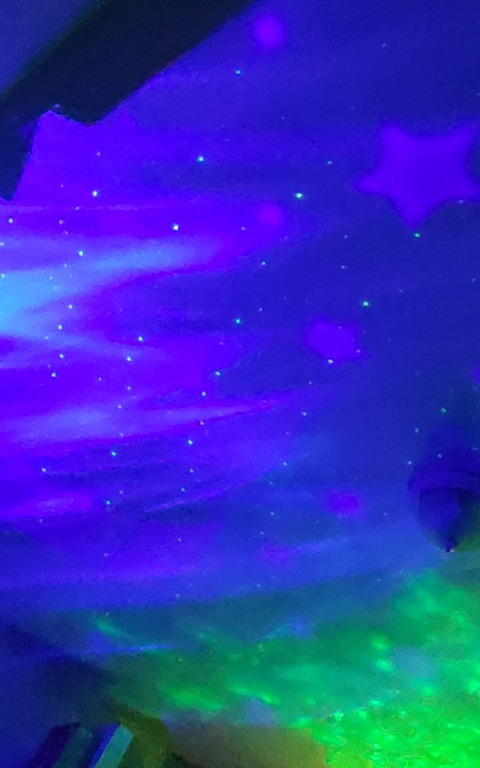 Header of bubblywonder