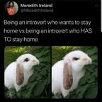 Free access to @bunnybums Leaks OnlyFans 

 profile picture