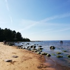 Download candice OnlyFans content for free 

 profile picture