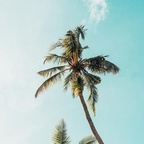 cgfl99 OnlyFans Leak 

 profile picture