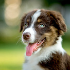 cheat (u6560983) free OnlyFans content [FRESH] profile picture