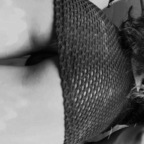 chulita027 (Alejandra) free OnlyFans content 

 profile picture