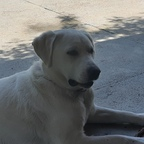 Download cosmina OnlyFans videos and photos for free 

 profile picture