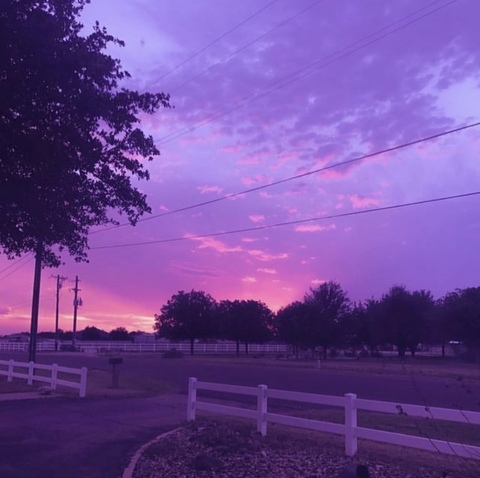 Header of cutiepie11