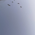 Download cyberpressure OnlyFans content for free 

 profile picture