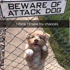 daddy22frost OnlyFans Leaks 

 profile picture