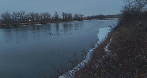 Header of dahliadepraved