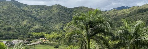 Header of daniellaosorio9