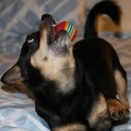 dannika OnlyFans Leaks 

 profile picture