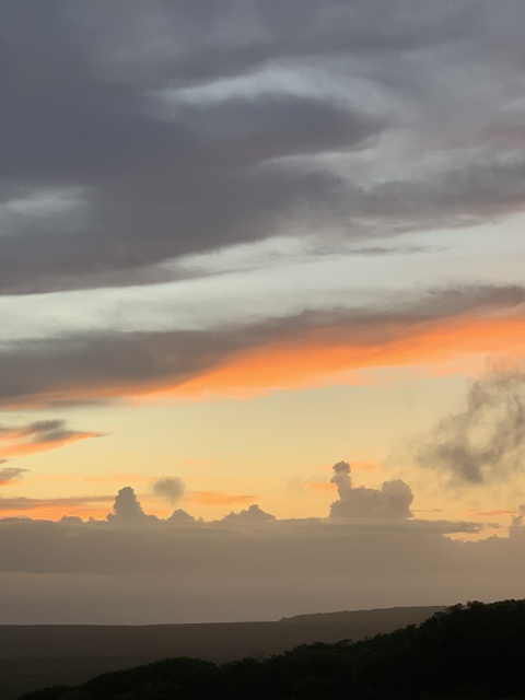 Header of darealckris