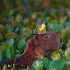 Onlyfans leaked datbitchbarbie 

 profile picture