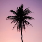 dawny.love.0 (D) free Only Fans content [!NEW!] profile picture