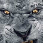 deepstrokeee (Deepstrokeee) OnlyFans Leaks 

 profile picture