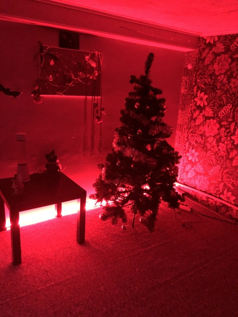 Header of dementeria