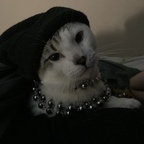 dickchcolate OnlyFans Leak 

 profile picture