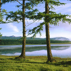 doit69 OnlyFans Leaked Photos and Videos 

 profile picture