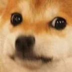 Download dreianova OnlyFans videos and photos for free 

 profile picture