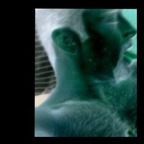 dyl2f OnlyFans Leaked 

 profile picture