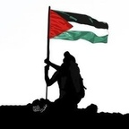 emara (🕸 Emara 🌗) OnlyFans Leaks 

 profile picture