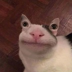 Download emelyxo OnlyFans videos and photos for free 

 profile picture