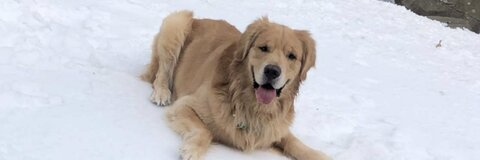 Header of emilyepeters_