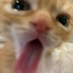 Onlyfans leaked emmyuh 

 profile picture