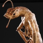 eurayca (rayca 🍒) OnlyFans content 

 profile picture