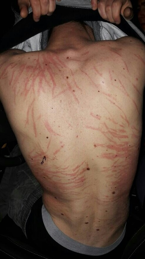 Header of fa_bietto_45