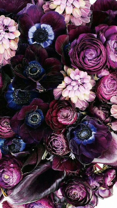 Header of feetpics87