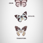 fireanddesiree OnlyFans Leaked Photos and Videos 

 profile picture