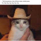 Onlyfans leaks forbusik 

 profile picture